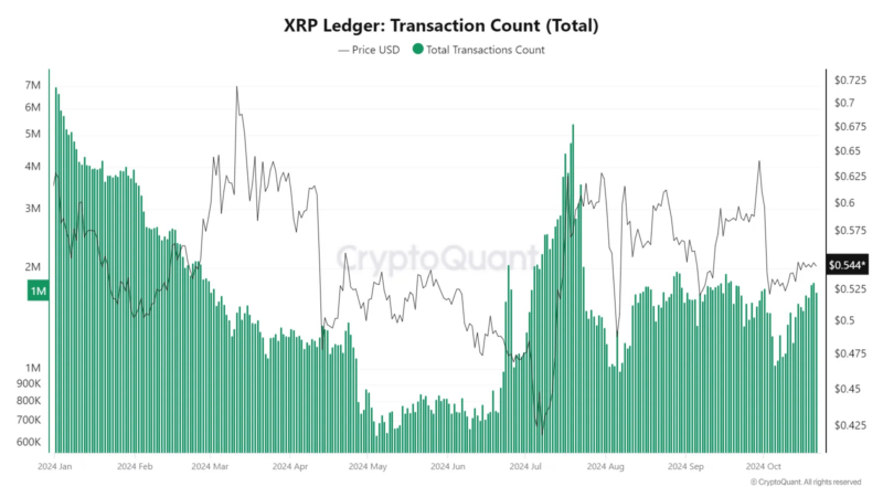 XRP Transactions Fall, But Active Wallets And DeFi Liquidity Tell A Different Story