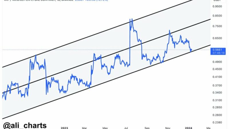 XRP Will Jump 75% If It Holds Current Demand Level – Details