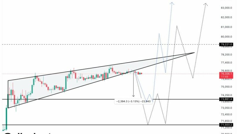 Analyst Reveals Bitcoin Key Support Levels For Reaccumulation – Details