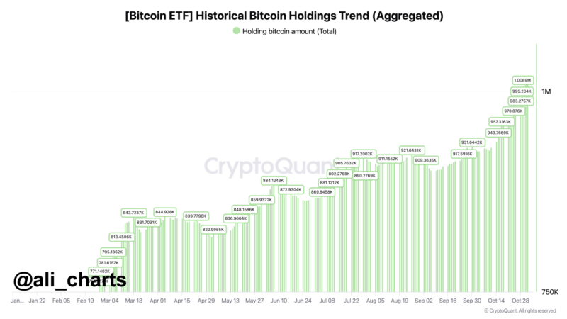 Bitcoin ETFs Surpass 1 Million BTC Holdings In Less Than A Year Since Launch – Details Inside