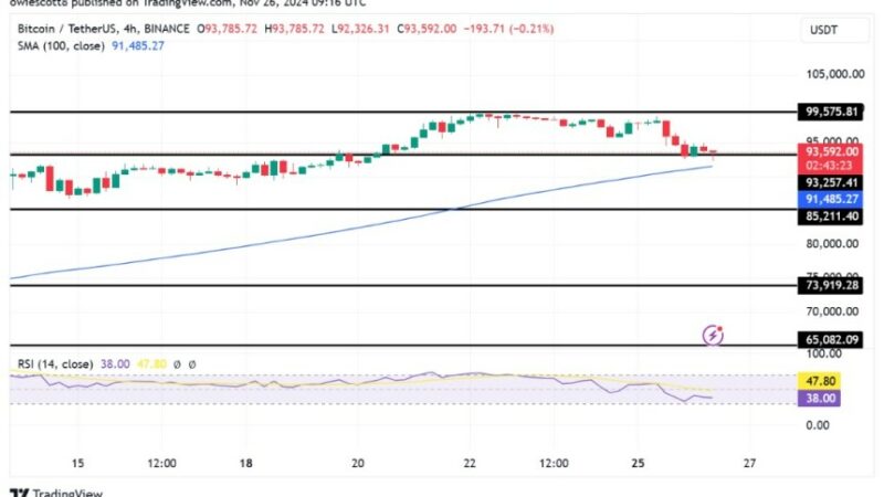 Bitcoin Holds At $93,257 As Bulls Struggle To Avoid Deeper Losses