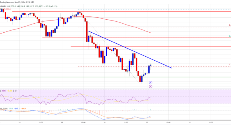 Bitcoin Price Corrects to $90K: Healthy Dip or Cause for Concern?