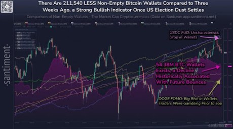 Bitcoin Price Crash Below $70,000: What Does It Have To Do With Whales And The US Presidential Elections?