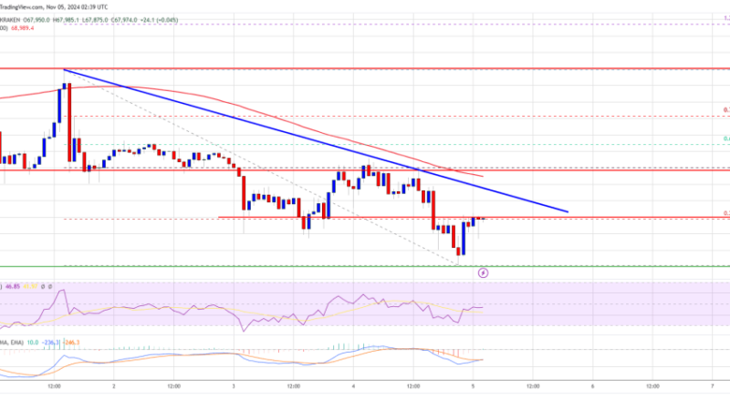 Bitcoin Price Decline Worsens: Could It Be Setting Up for Major Reversal?