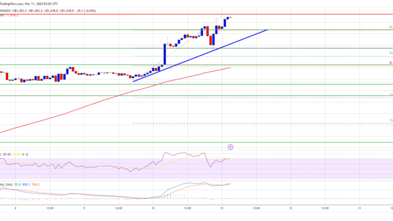 Bitcoin Price Hits $80K Mark: The Crypto Bull Run Continues
