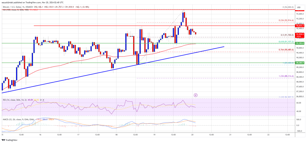 Bitcoin Price on the Rise: Is There More Fuel for the Rally?