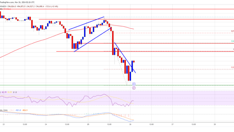 Bitcoin Price Slips Below $95K: Is The Rally Losing Steam?