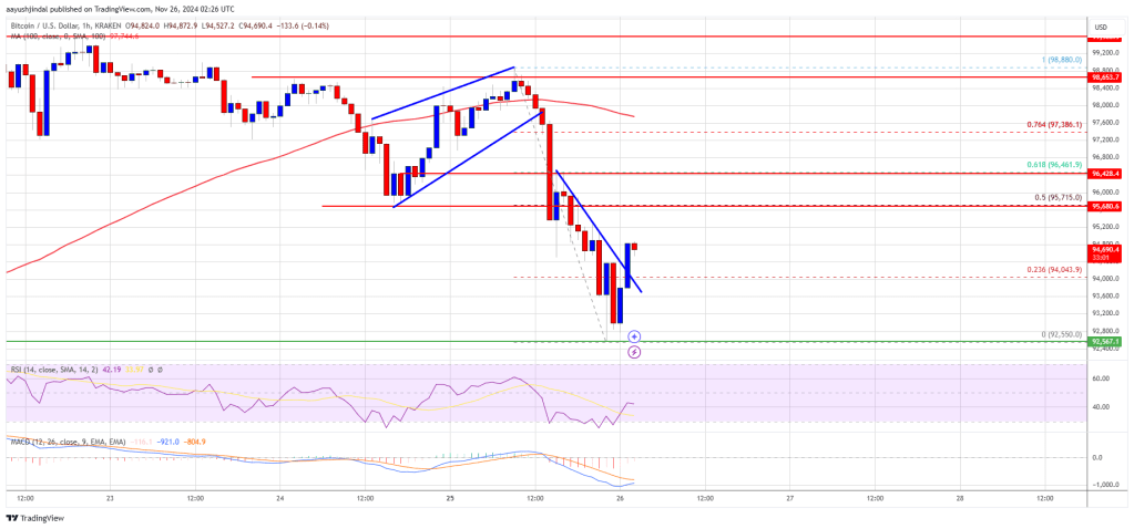 Bitcoin Price Slips Below $95K: Is The Rally Losing Steam?