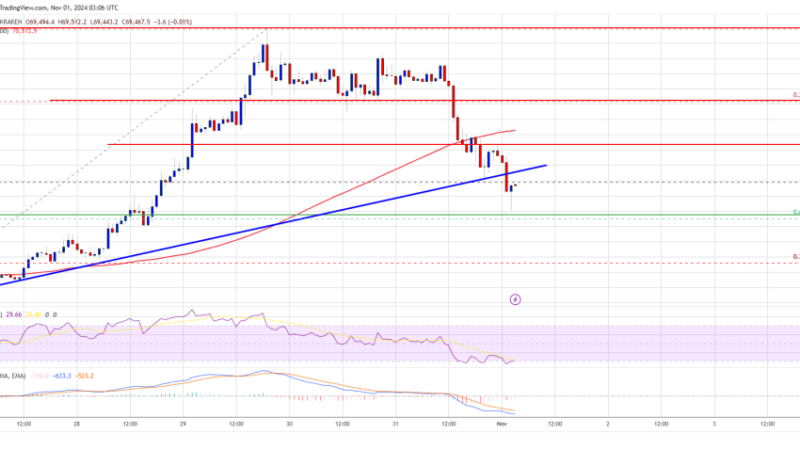 Bitcoin Price Takes a Sharp Dip: Is This Just a Correction?