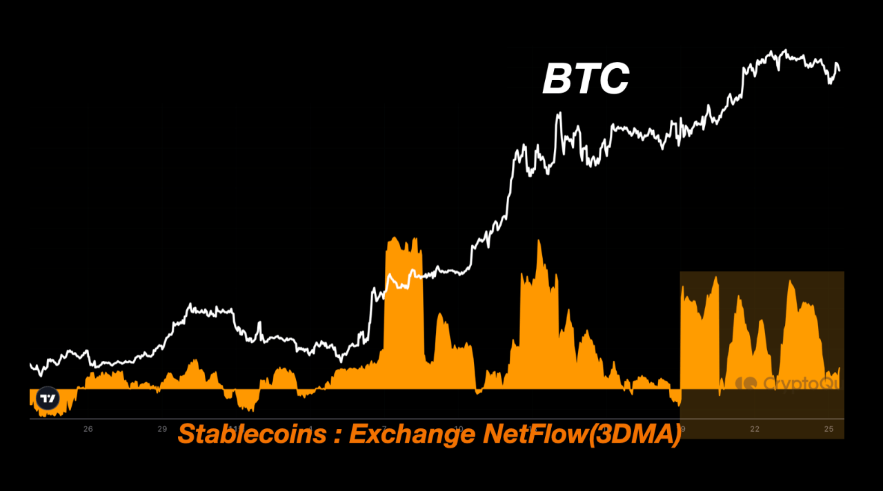 Bitcoin To Smash $100,000? Rapid Stablecoin Exchange Inflows Continue