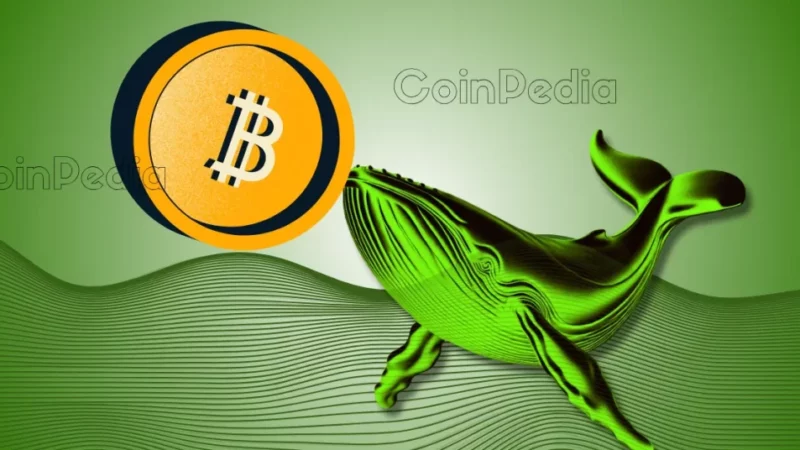 Bitcoin Whales Buy $134M in BTC as Donald Trump Win 2024 U.S Election