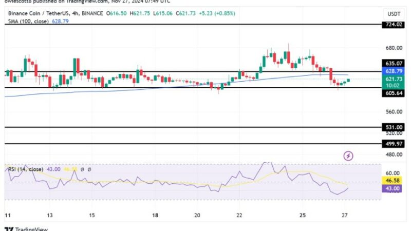 BNB Eyes Recovery: $605 Support Sets The Stage For A New Rally