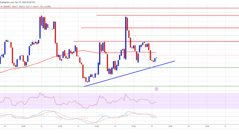 BNB Price Poised for Takeoff: Will It Be The Next to Rally?