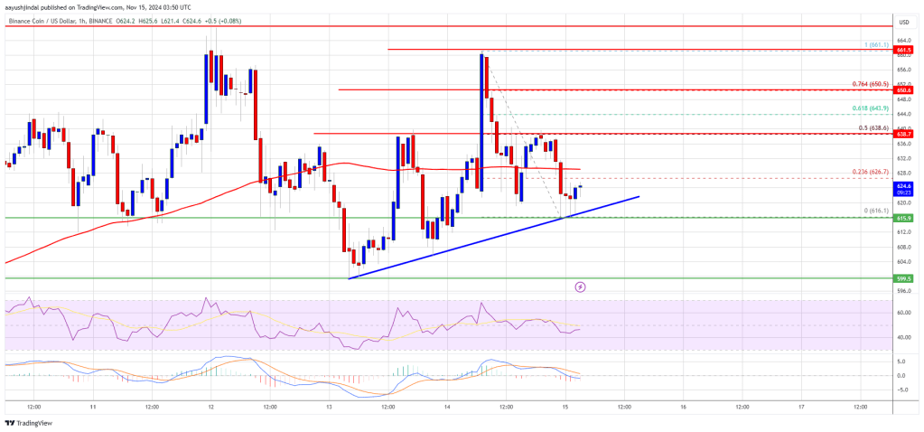 BNB Price Poised for Takeoff: Will It Be The Next to Rally?