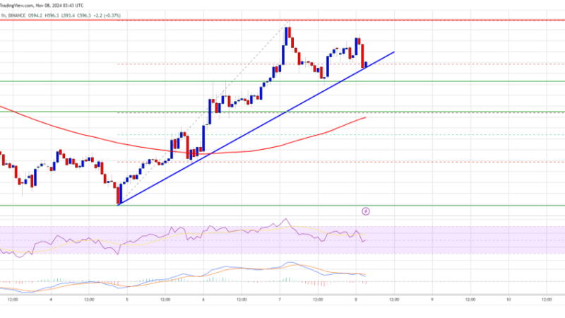 BNB Price Set to Surge: Could It Be the Next Big Mover?