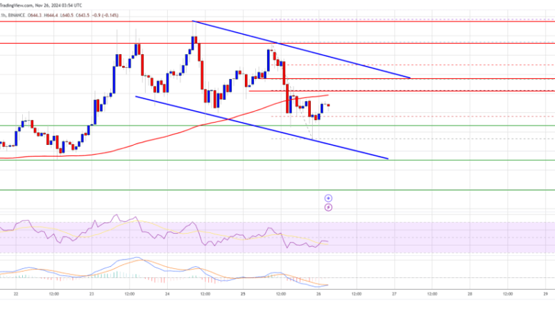 BNB Price Sets Up for a Comeback: Bulls Eye Higher Levels