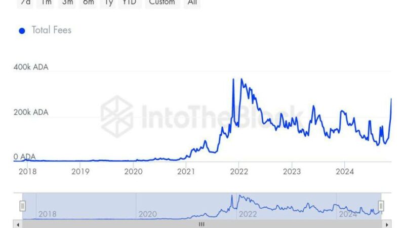 Cardano Transactions Rise To Multi-Year Highs – Metrics Support Bullish Outlook