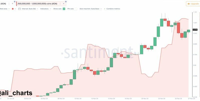 Cardano Whales Buy The Dip – Metrics Show Increasing Demand