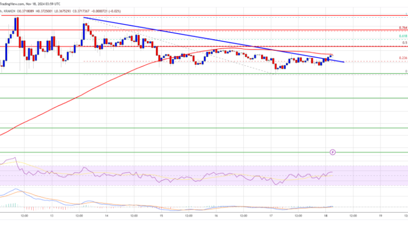 Dogecoin (DOGE) Eyes $0.50 Again: Is a New Rally on the Horizon?