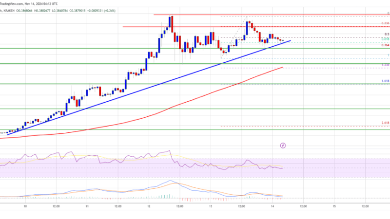 Dogecoin (DOGE) Momentum Seems Unstoppable: How High Can It Go?