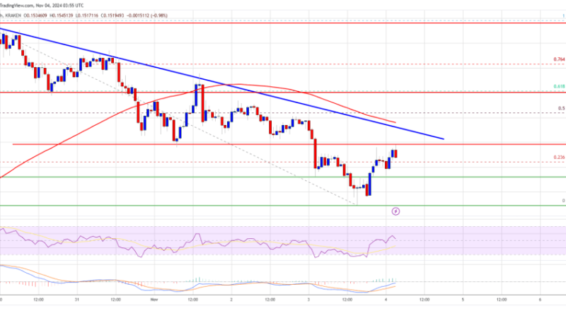 Dogecoin (DOGE) Poised for a Move: Will It Start a Fresh Increase?