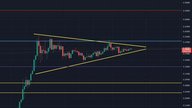 Dogecoin Price Set To Skyrocket By Saturday, Warns Crypto Analyst