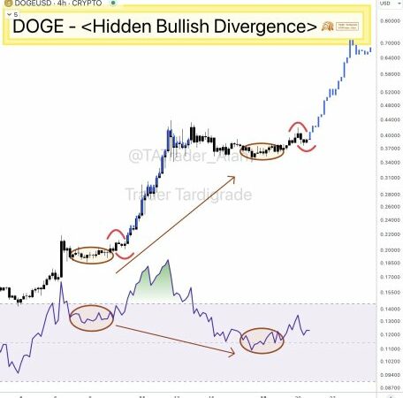 Dogecoin Set To Rally: Market Expert Claims DOGE’s Next Big Run Is Imminent