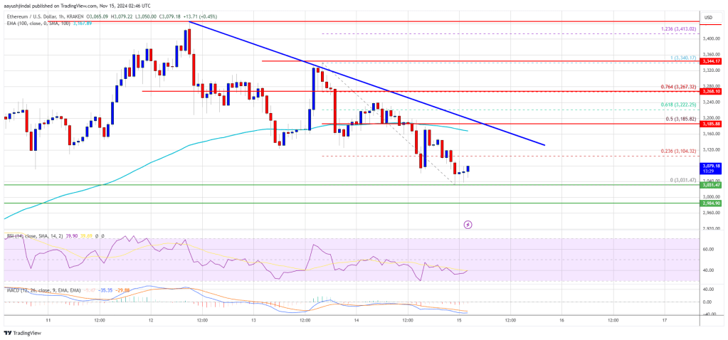 Ethereum Price at $3,000: Can Support Prevent Further Losses?