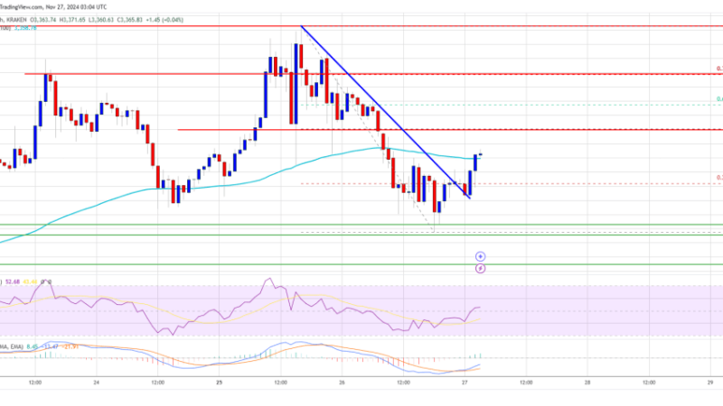 Ethereum Price Maintains Strength at $3,250: Upside Ahead?