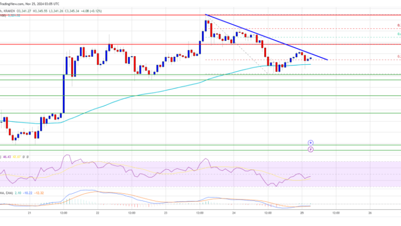 Ethereum Price Poised for Gains: $3,600 Within Reach?