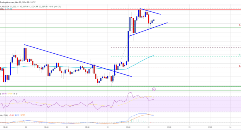 Ethereum Price Survives Dip: Rallies 10% and Targets More Upside