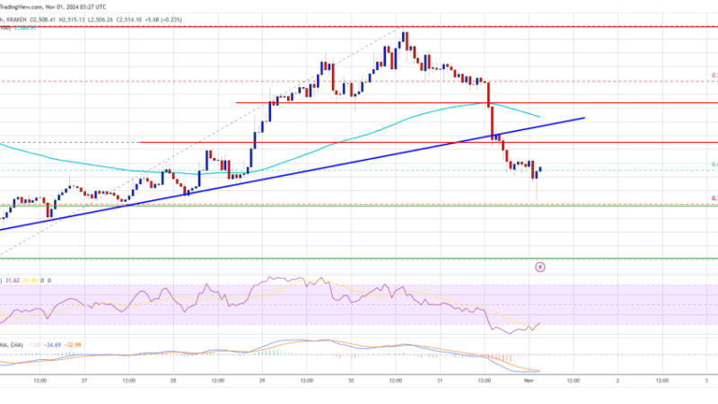 Ethereum Price Tumbles: Will It Find a Way Back Up?