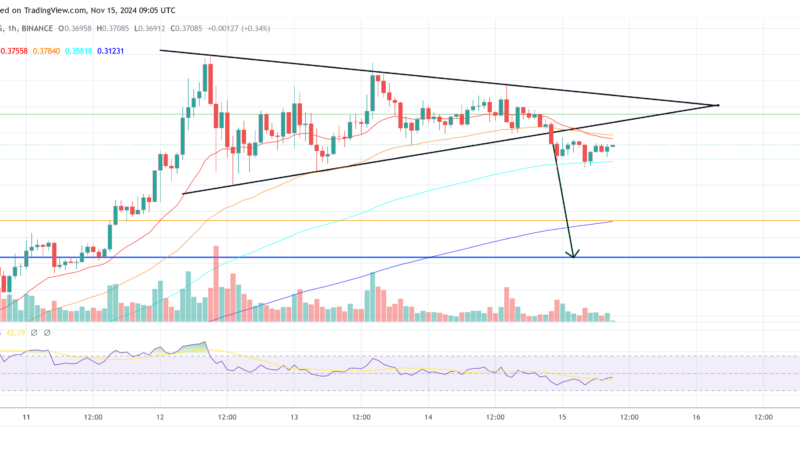 How Low Can Dogecoin Go Before Rallying Again? Expert Forecast