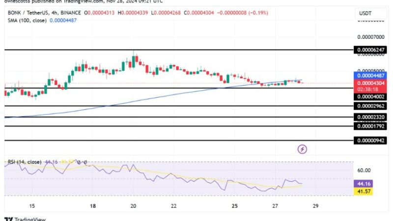 Is BONK Rally In Jeopardy? Technical Indicators Confirm Weakness