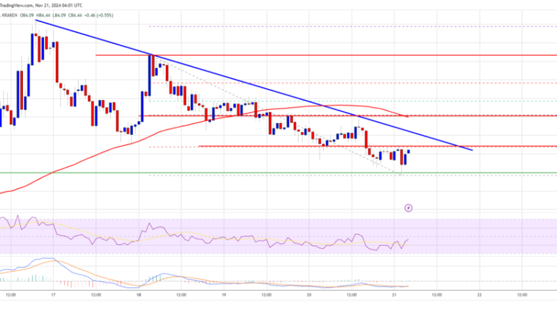 Litecoin (LTC) at a Crossroads: Can It Rebound and Rally?