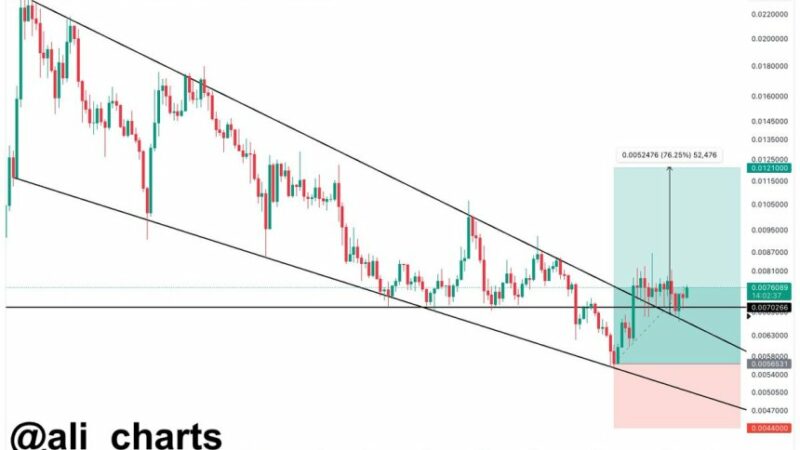 Notcoin (NOT) Gears Up For Major Rally – Is $0.12 Still Within Reach?