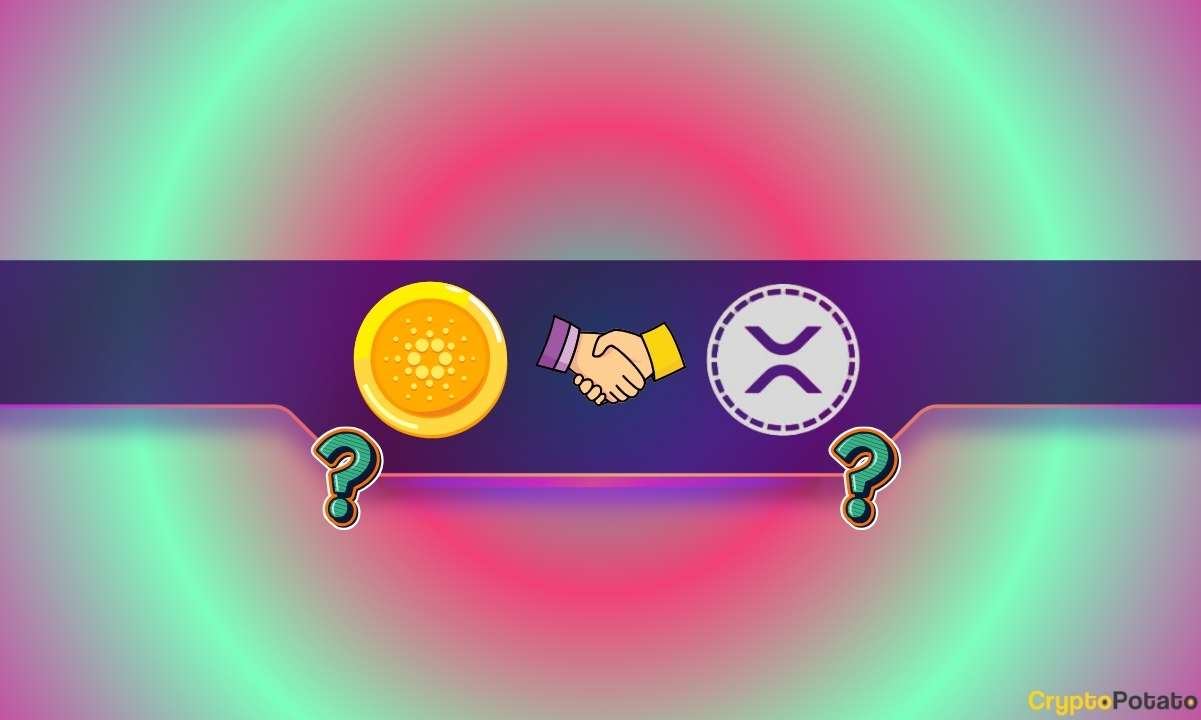 Ripple, Cardano Mega Partnership in the Making? Community Speculates