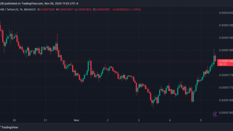 Shiba Inu (SHIB) Gearing Up For Massive Bullish Wave Following 8% Daily Surge, 110% Rally Ahead?