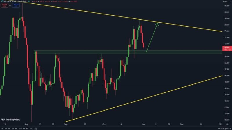 Solana Headed For Correction Before Bounce – Analyst Sets $180 Target