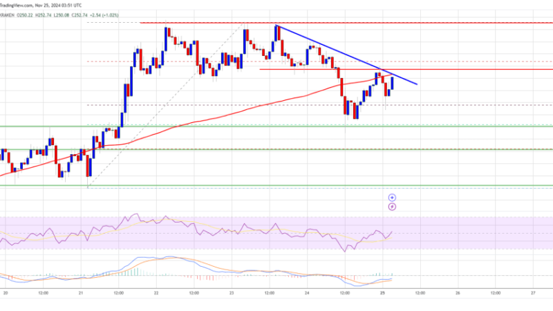 Solana (SOL) Bulls Stay in Control: Rally Far From Over?