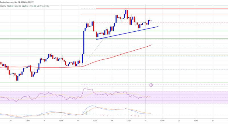 Solana (SOL) Could Soon Rally Past $250—Are Bulls in Control?