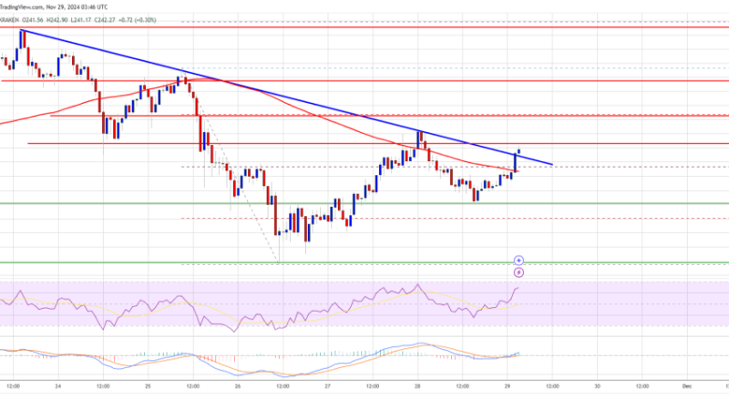 Solana (SOL) Momentum Builds: $250 Could Just Be The Beginning