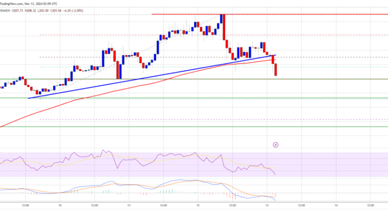 Solana (SOL) Needs to Hold $200 for Next Rally: Will It Succeed?