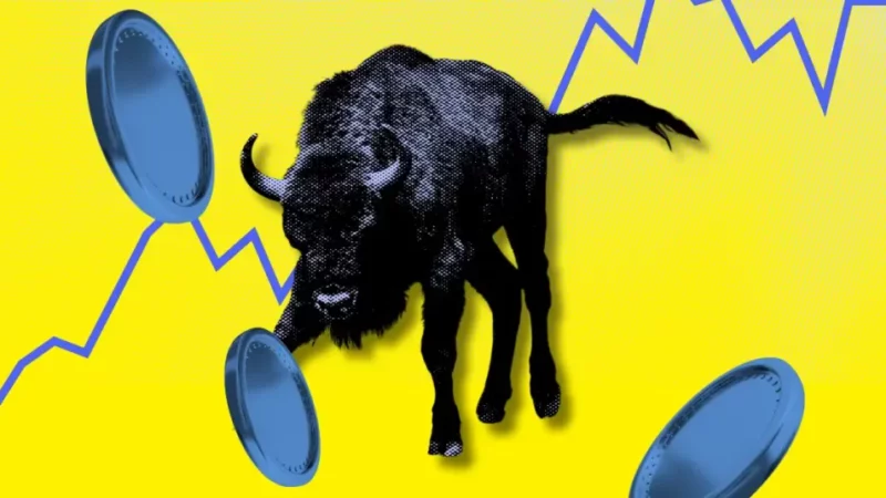 Top 3 Altcoins to Buy Before the November Bull Run