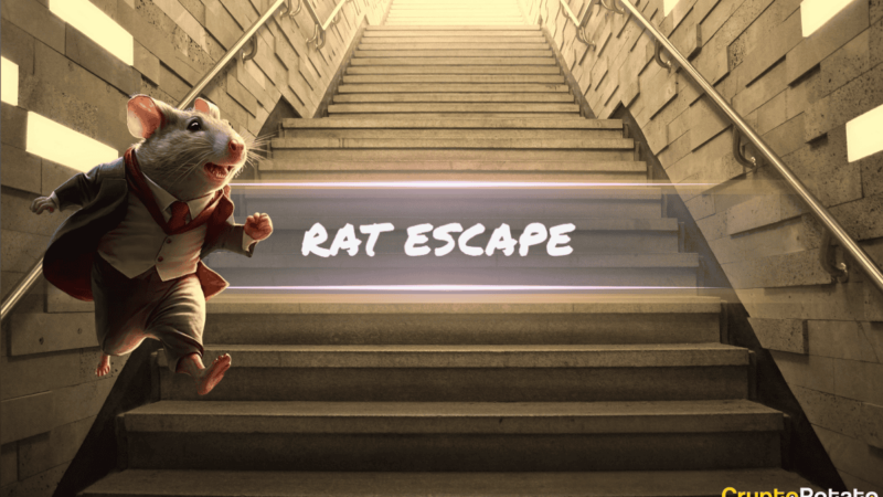 Viral Meme Coin Rat Escape (RAT) Launches with 1,000 Holders in Days