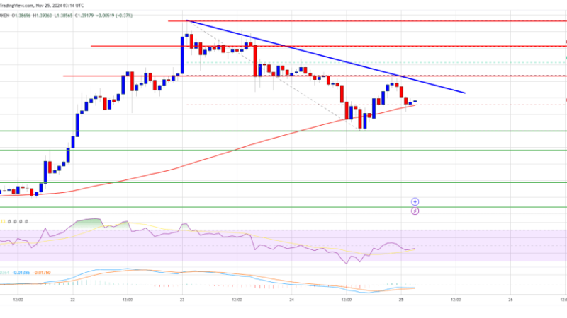 XRP Price Builds a Base: Can Bulls Ignite a New Rally?