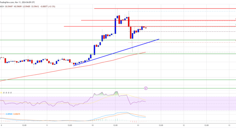 XRP Price Fights for a Steady Climb: Will Bulls Prevail?