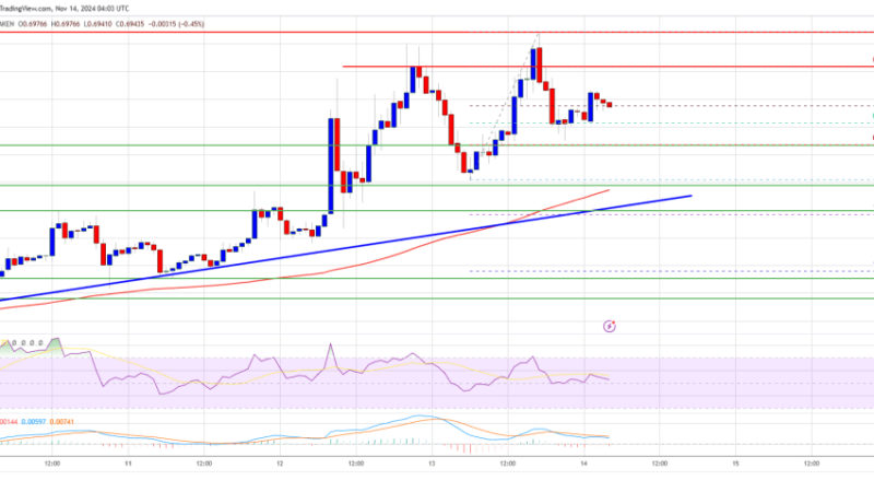 XRP Price Gains Steadily with Swings: Can It Maintain Momentum?