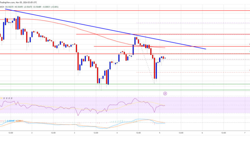 XRP Price Gears Up: Is a Major Move on the Horizon?