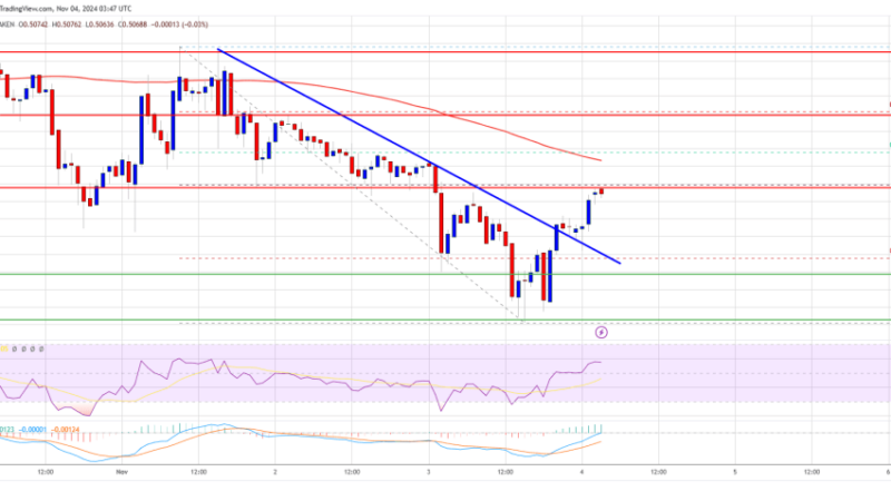 XRP Price Resilient Above $0.50 While Markets Turn Red